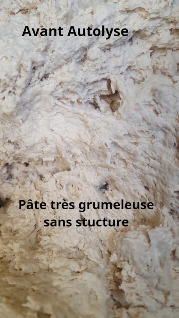 pâte à pain avant autolyse