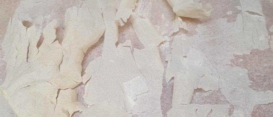 Levain séché pour le conserver