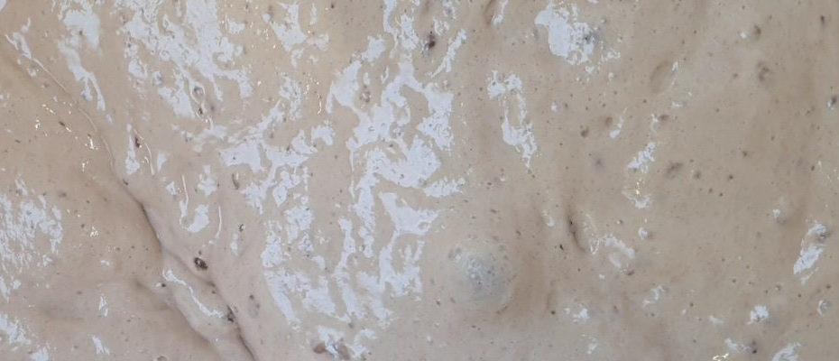 Levain liquide