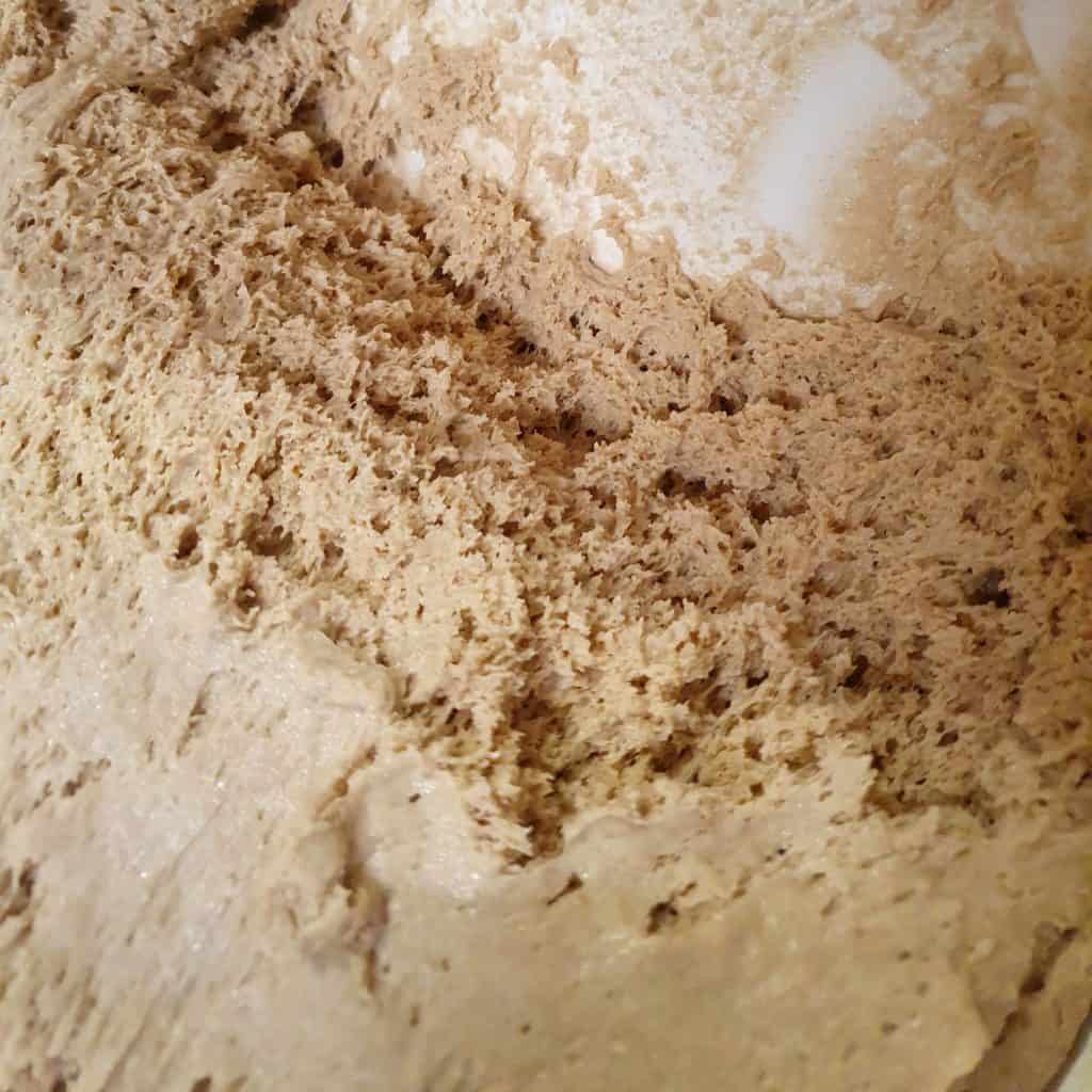 Levain de seigle bien mousseux